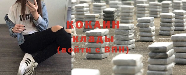 кокс Арсеньев