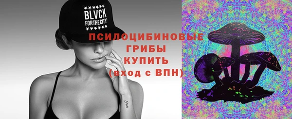 молекула духа Армянск