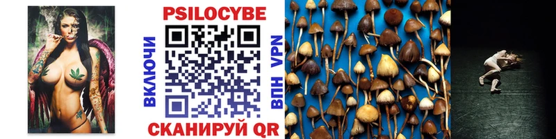 Купить где  Кубинка  Галлюциногенные грибы Psilocybe 